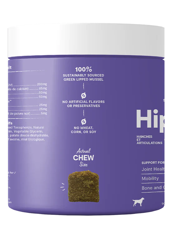 Open Farm | Hip & Joint Supplement Chews | Dog Supplements Near Me Markham | ARMOR THE POOCH